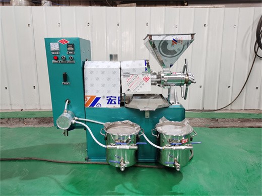 Máquina prensadora de aceite de semilla de oliva Plam en Bolivia