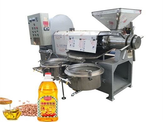 Venta caliente de máquina de extracción de aceite de neem fabricada en China Fabricante en Paraguay