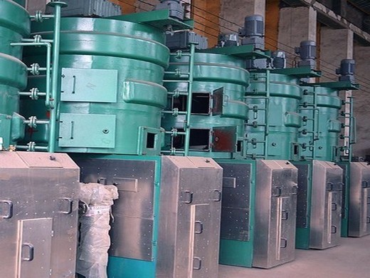 Máquina prensadora para extracción de aceite de sésamo edil a la venta en Cuba