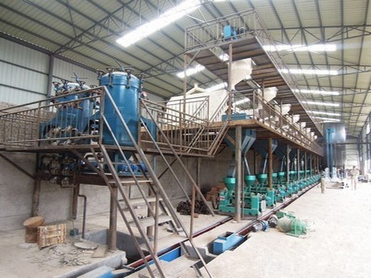 Maquinaria de aceite de soja y salvado de arroz QI'E con BV CE en Argentina