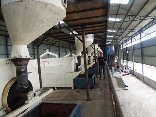 Equipos de prensa de aceite de semilla de algodón de tecnología más avanzada en Nicaragua