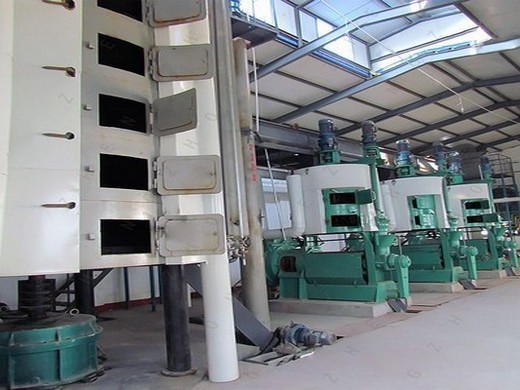 Máquina de extracción de aceite de ricino a precio de fábrica de 100t/d en Bolivia